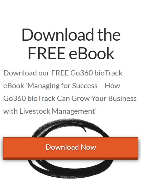 Download the free eBook.