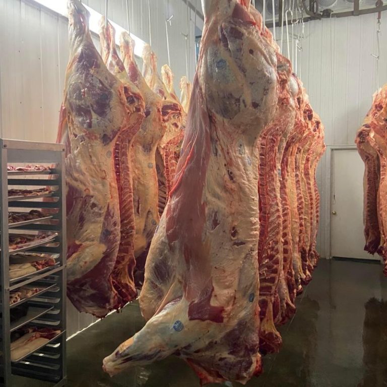 Hanging meat.